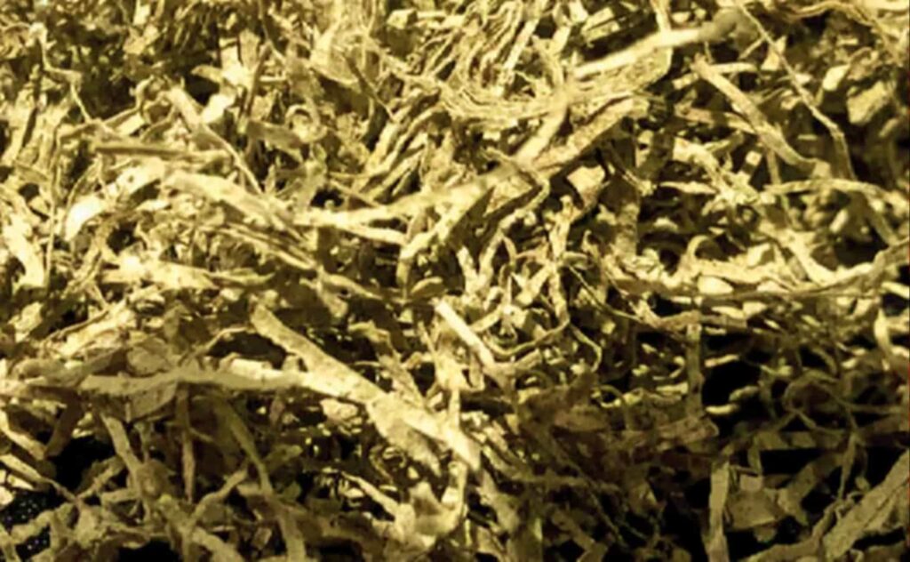 Вид крупным планом на листья табака Recon